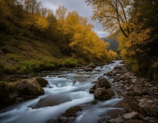 flowing river landscape Slovak nature