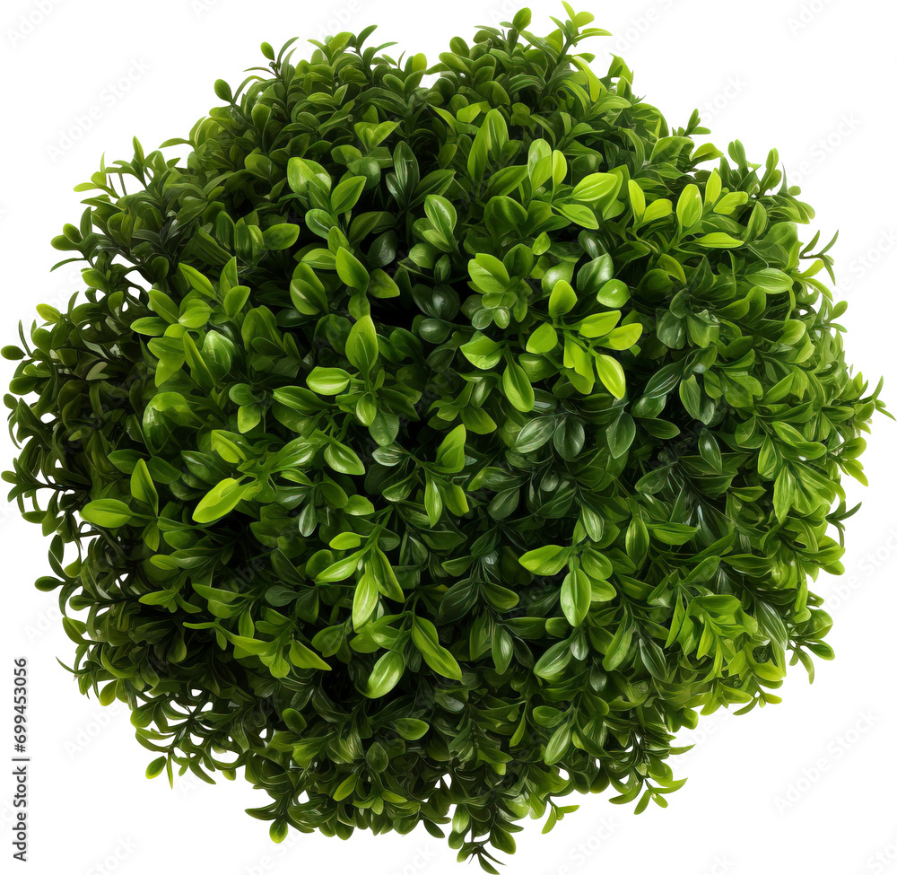 Poster Bushes isolated on transparent background. PNG