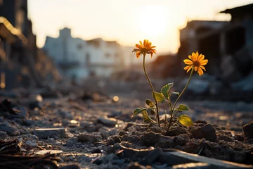 Zelfklevend Fotobehang Tenacity of nature to find life and flourish even in the toughest urban settings overcoming difficulties concept. Orange flowers plant blossom breaking through concrete or cement asphalt © Valeriia
