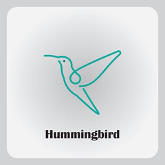 Hummingbird bird logo vector design