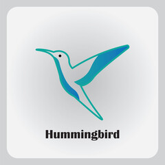 Hummingbird bird logo vector design