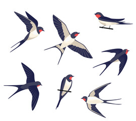 Set of different swallows isolated on a white background. Vector flock of birds. Cartoon simple flat illustration.