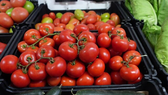 omato harvest. many tomatoes. perfect tomatoes on vegetable market stall