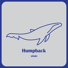 Obraz premium Humpback whale logo vector design