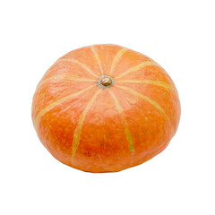 Decorative orange pumpkin, isolated on a white background