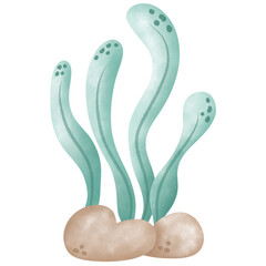 Super cute cartoon coral drawings