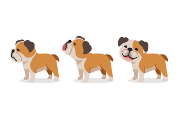 Set of vector cartoon character bulldog for design.