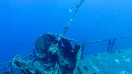 Afonso Cerqueira - Wreck Diving - Wrack Tauchen - Madeira