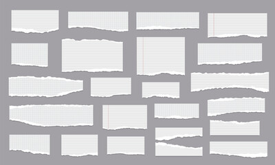 Set of torn, ripped white paper strips, lined, math notebook sheets with soft shadow are on grey background for text, notes, ad.
