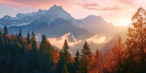 A scenic view of a mountain range with tall trees in the foreground. Perfect for nature enthusiasts and outdoor adventure themes