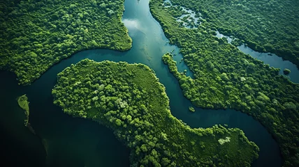 Fotobehang aerial drone view of the amazonian forest and tropical river water ways AI generated © AlfredoGiordano