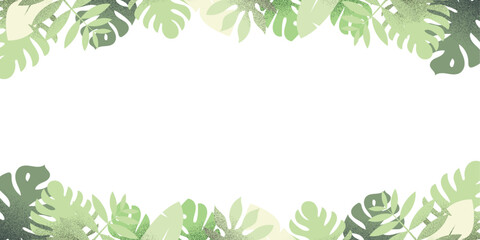 tropical leaves background. monstera, palm, leaf free white space for text. top and bottom border.