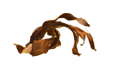 banana peel isolated on white background