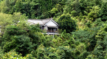 Fototapeta na wymiar Landscape of house in the forest