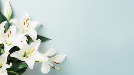 White lily flower on matching background with copy space - beauty spa wellness natural cosmetics...