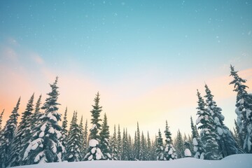 snow-covered pine trees under a star-filled sky