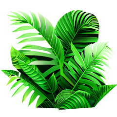 palm leaf isolated on white