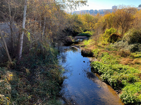 Detalle del r&iacute;o Ripoll de Sabadell desde el puente de madera. D&iacute;a soleado.