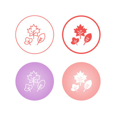Obraz premium Autumn Leaf Vector Icon