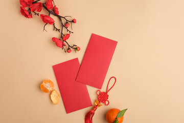 Flat lay of two lucky money envelopes, a branch of peach blossom, tangerine and a decorative string stand out on the pastel background. Holiday theme.