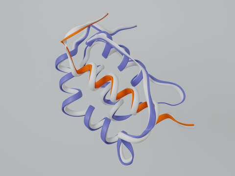 Human thymic stromal lymphopoietin protein, illustration
