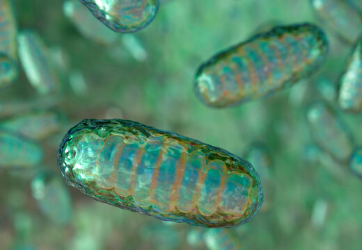 Artwork of mitochondria