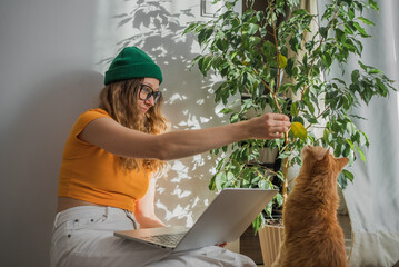 Woman with laptop playing with cat. Young student girl distracted from studying on computer online...