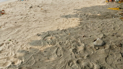The beach sand is full of footprints. White sand with tree shadows. tropical beach vacation background concept