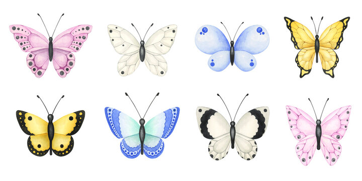 Set of hand-drawn watercolor butterflies. Summer and spring insect illustrations isolated illustrations on white background