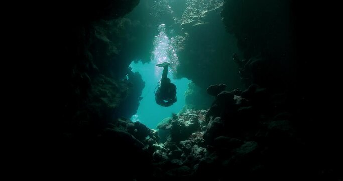 a diver found an underwater canyon in the pacific ocean