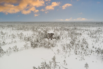Winter nature scene of Estonia. Observation tower on the Viru raba in winter at sunrise. Drone view.