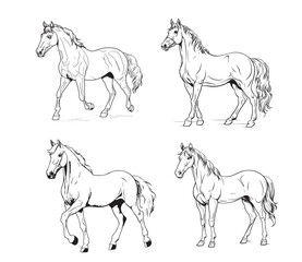 Horse set hand drawn sketch Vector illustration Farm animals