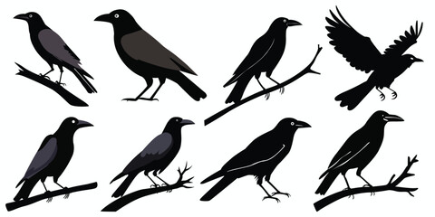 Crow silhouettes set. Vector illustration