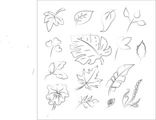  Leaves of different trees.
