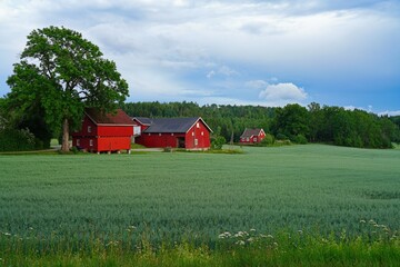 Obraz premium View of a traditional red barn in the Norwegian countryside