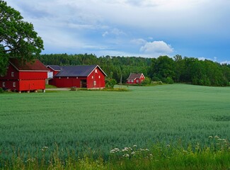 View of a traditional red barn in the Norwegian countryside