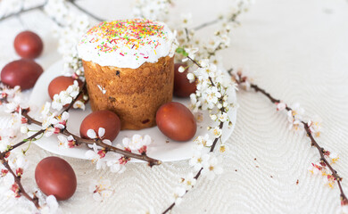 Easter composition. A blooming apricot branch, painted eggs and a glazed Easter cake decorated with sugar sprinkles