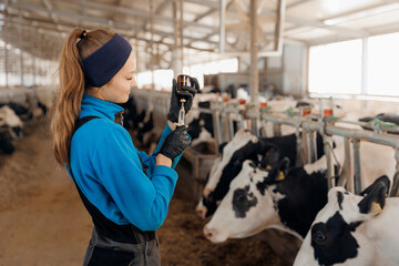 Vet Working On holstein cows. Woman veterinarian holding syringe with vaccine on background of...