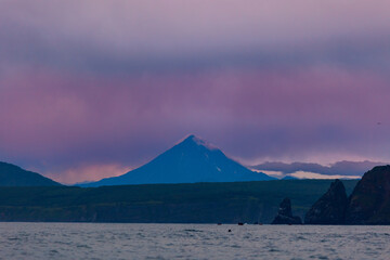 Landscape Petropavlovsk Kamchatsky and Koryaksky Volcano with killer whale. Concept Travel photo Kamchatka Peninsula Russia