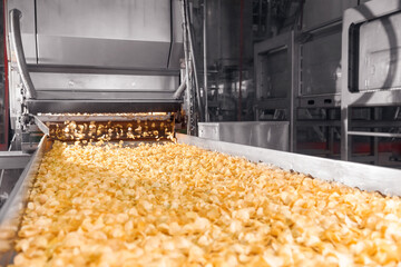 Conveyor line for frying potato chips production at modern food factory