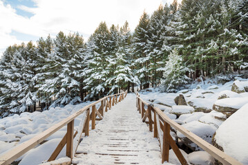 Wooden bridge in the winter mountain . Vitosha mountain ,Bulgaria