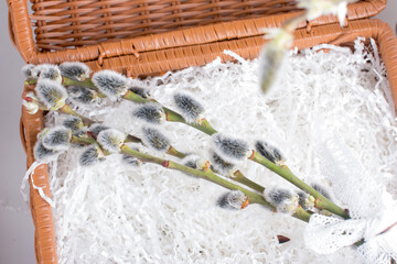 Easter fluffy willow in a vase. Easter Spring Holiday