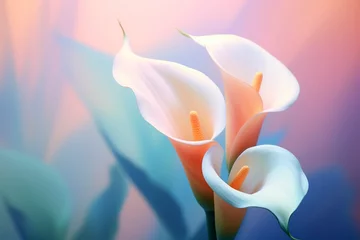 Foto op Plexiglas A picture that shows Calla lily flower, in reality style, soft background © Tran