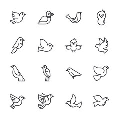 Set of bird icon for web app simple line design