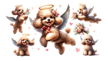 Cupid Poodle Dog Valentine Sublimation