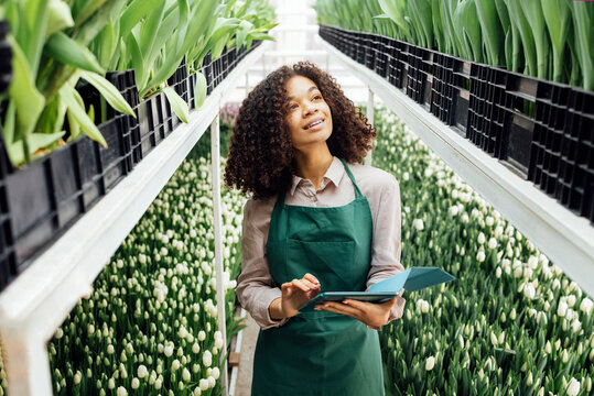 Young smiling mixed race woman uses digital tablet to grow tulips of different type