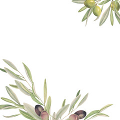 Watercolor frame with olive branches
