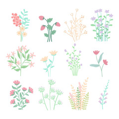 set of hand drawn flowers