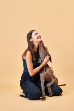 Hugs and kisses, dogfriendly. Lifestyle. Young brunette woman sitting on floor and hugs with her favorite pet against beige background. Concept of animal, pet lover, friendship, companionship.