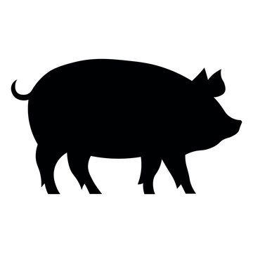 Pig black vector icon on white background